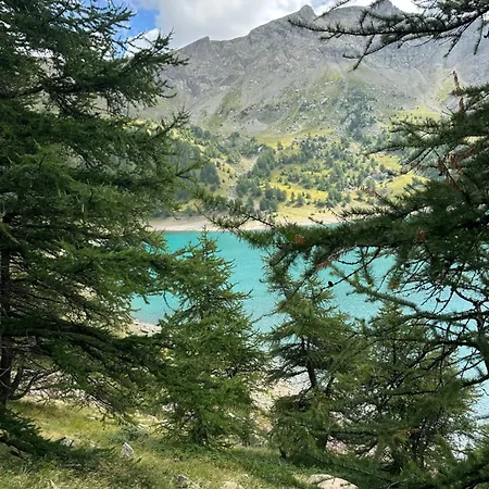La Foux D'allos -le Centre - T2 Cosy Et Lumineux En Coeur De Station Апартаменты Ла-Фу